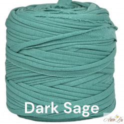 Dark Sage A20 T-shirt Yarn