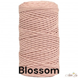 Blossom 2-3mm Premium...