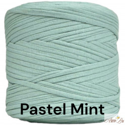 Pastel Mint B46 T-shirt Yarn