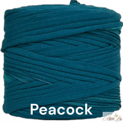 Peacock B57 T-shirt Yarn