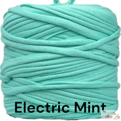 Electric Mint B70 T-shirt Yarn