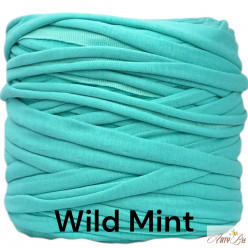 Wild Mint B79 T-shirt Yarn
