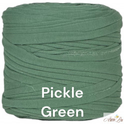 Pickle Green B84 T-shirt Yarn