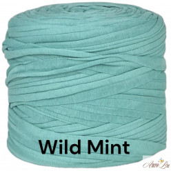 Wild Mint B87 T-shirt Yarn