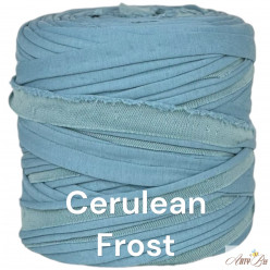 Cerulean Frost B92 T-shirt...