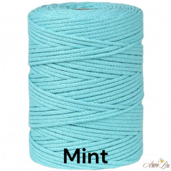 Mint/P 3mm Premium Braided...