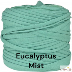 Eucalyptus Mist C60 T-shirt...