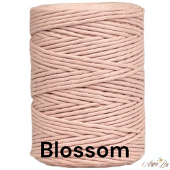 Blossom 3-4mm Single...