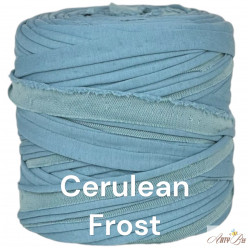 Cerulean B92 T-shirt Yarn