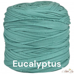 Eucalyptus A81 T-shirt Yarn