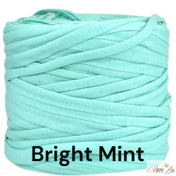 Bright Mint A95 T-shirt Yarn