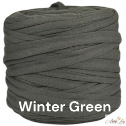 Winter Green A97 T-shirt Yarn